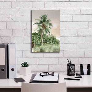 'Sanibel Island Palm' by Lori Deiter, Canvas Wall Art,12 x 18