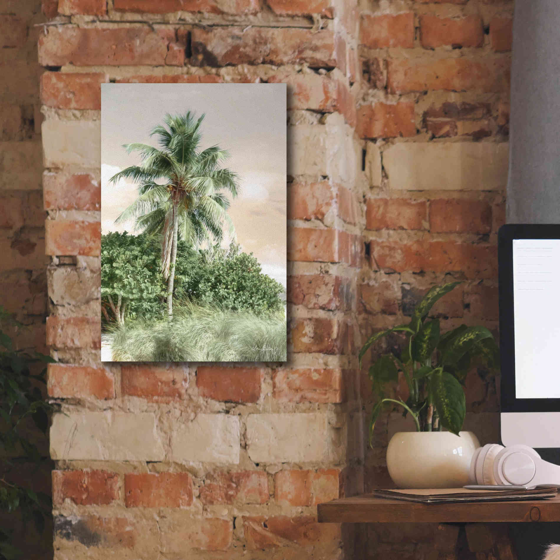 'Sanibel Island Palm' by Lori Deiter, Canvas Wall Art,12 x 18