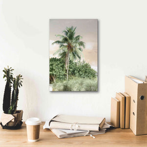 'Sanibel Island Palm' by Lori Deiter, Canvas Wall Art,12 x 18