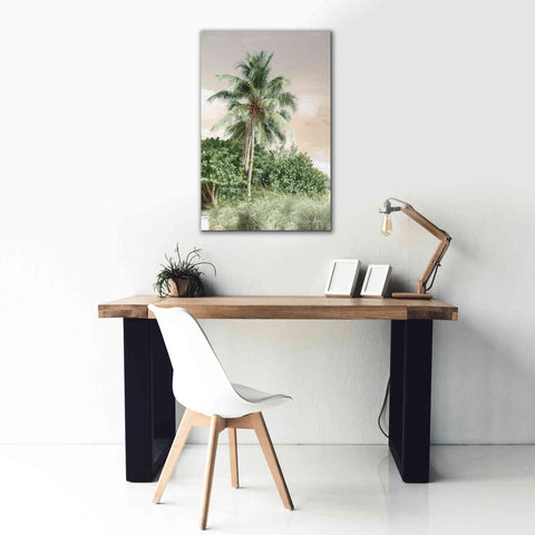 Image of 'Sanibel Island Palm' by Lori Deiter, Canvas Wall Art,26 x 40