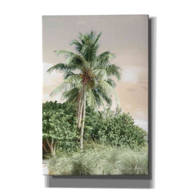 'Sanibel Island Palm' by Lori Deiter, Canvas Wall Art