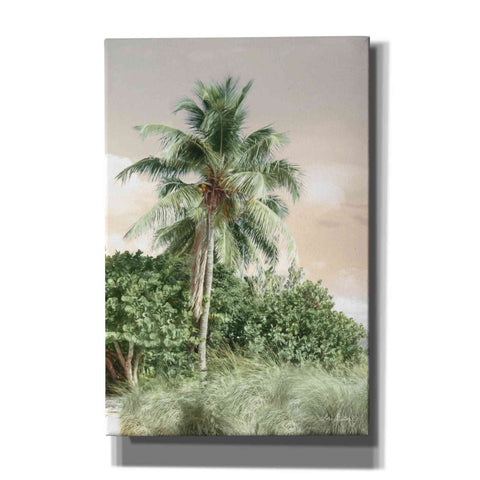 Image of 'Sanibel Island Palm' by Lori Deiter, Canvas Wall Art