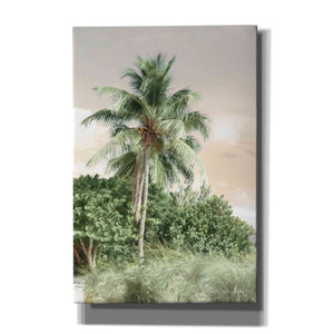 'Sanibel Island Palm' by Lori Deiter, Canvas Wall Art