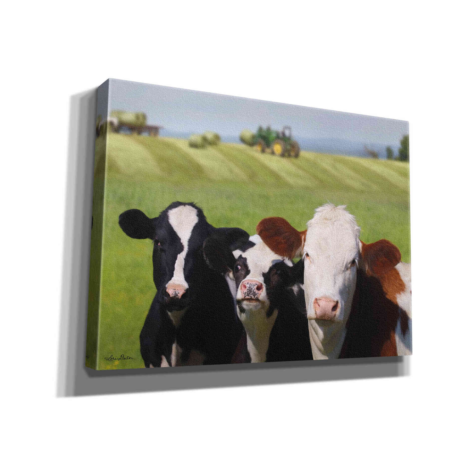 'Making Hay' by Lori Deiter, Canvas Wall Art