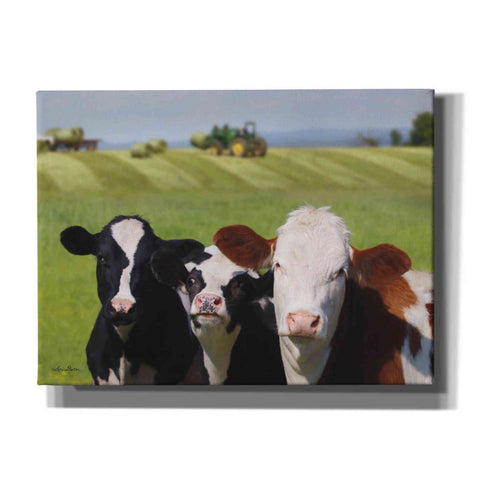 Image of 'Making Hay' by Lori Deiter, Canvas Wall Art