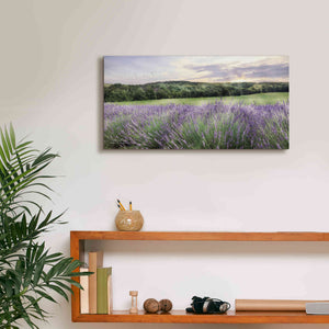 'Lavender Fields' by Lori Deiter, Canvas Wall Art,24 x 12