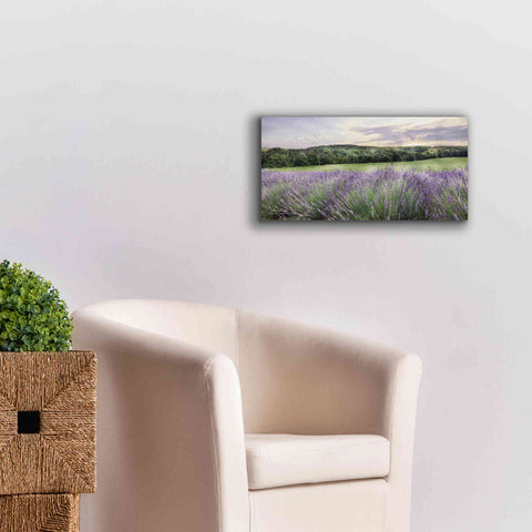 Image of 'Lavender Fields' by Lori Deiter, Canvas Wall Art,24 x 12