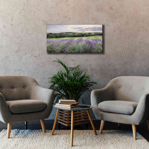 'Lavender Fields' by Lori Deiter, Canvas Wall Art,40 x 20
