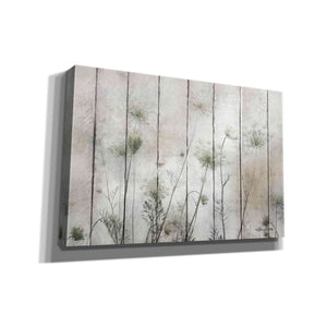 'Queen Anne' by Lori Deiter, Canvas Wall Art