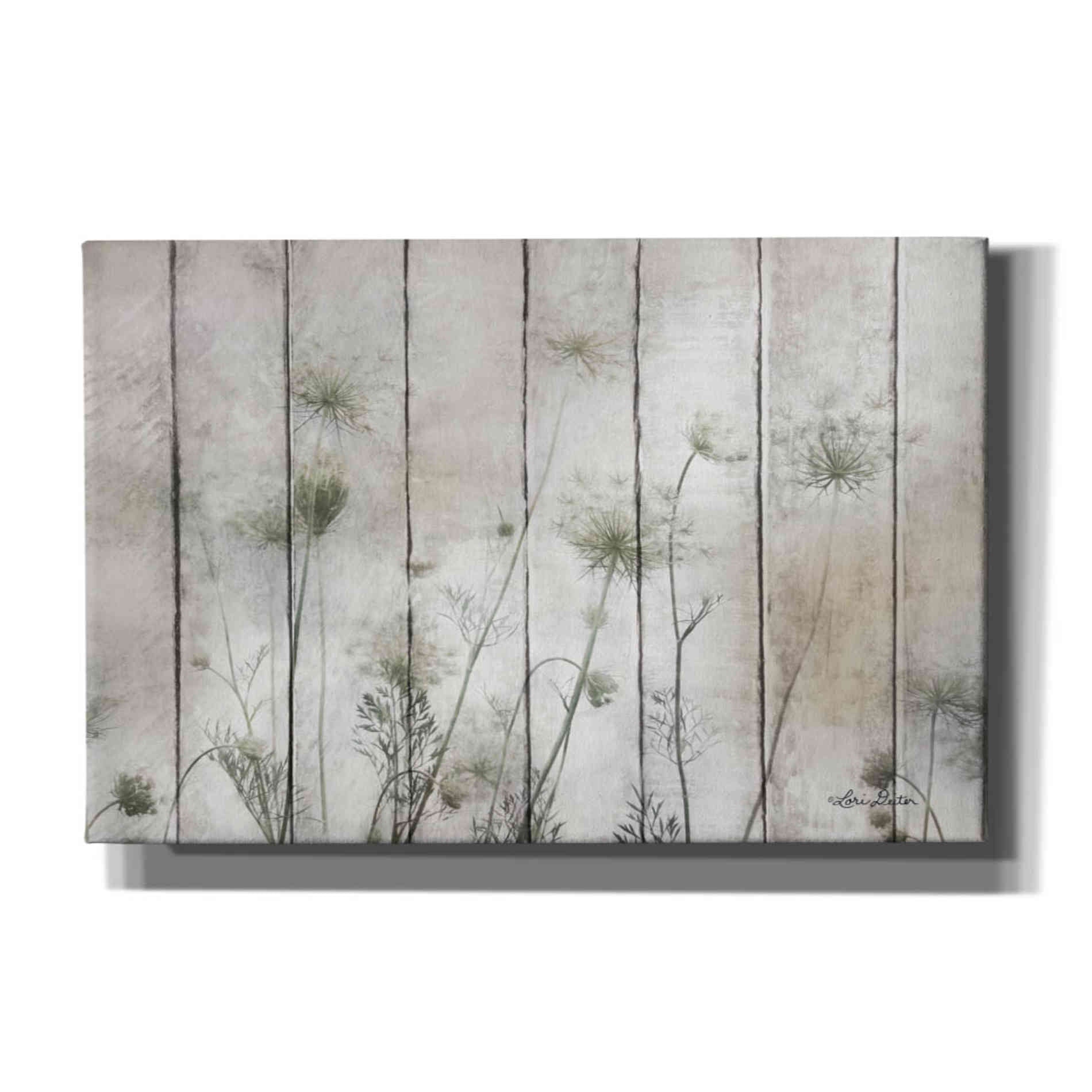 'Queen Anne' by Lori Deiter, Canvas Wall Art