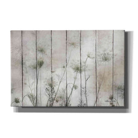 'Queen Anne' by Lori Deiter, Canvas Wall Art