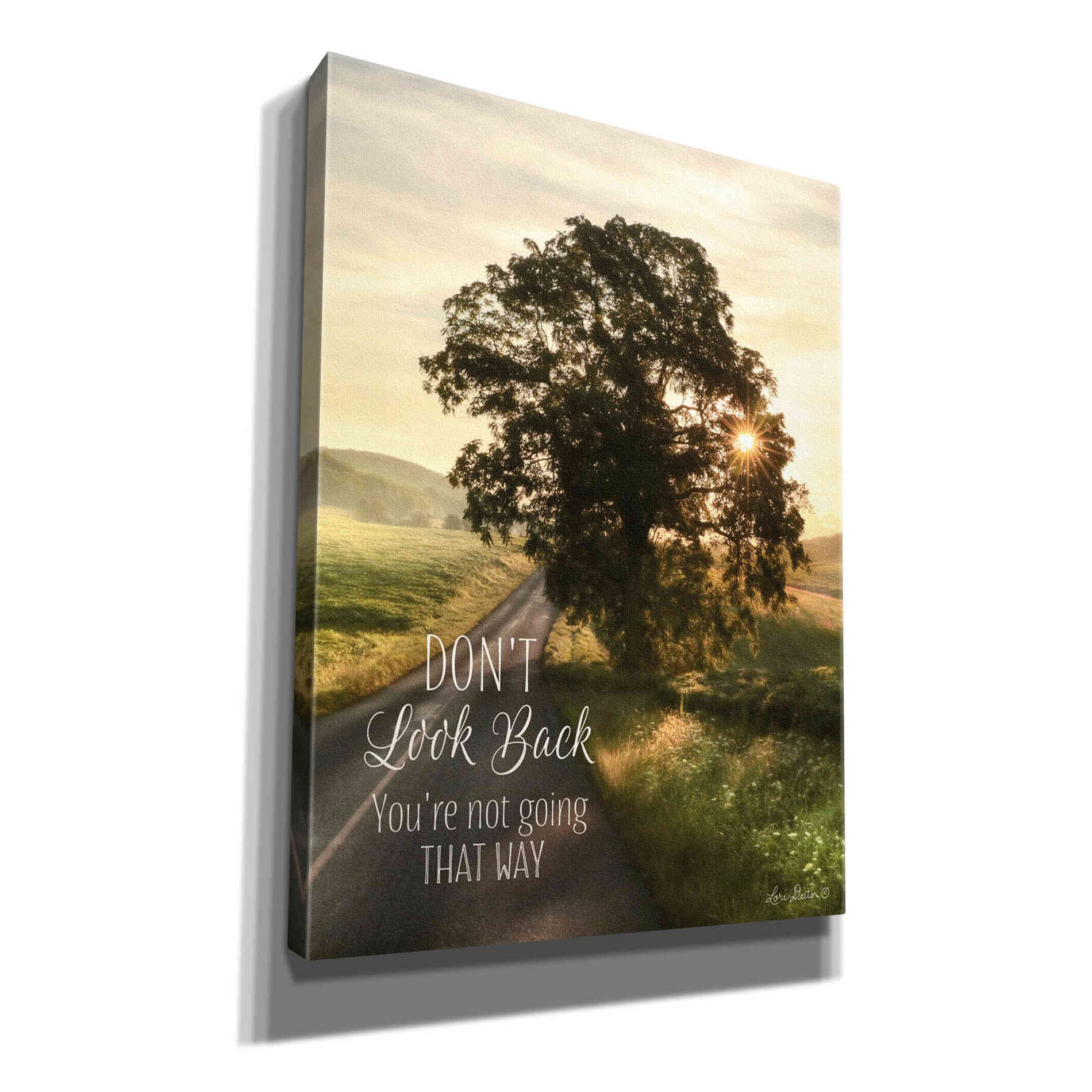 'Don't Look Back' by Lori Deiter, Canvas Wall Art