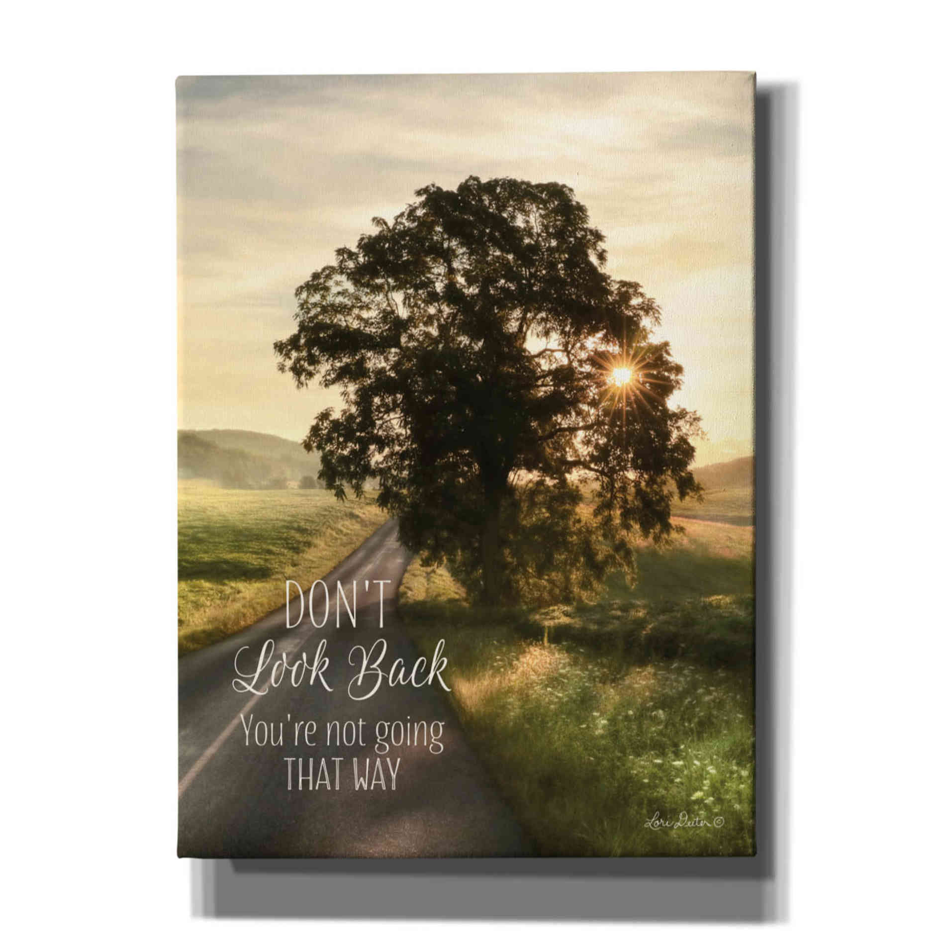 'Don't Look Back' by Lori Deiter, Canvas Wall Art