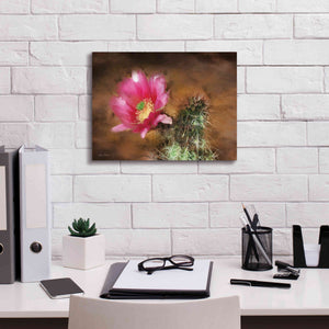 'Vibrant Cactus Flower' by Lori Deiter, Canvas Wall Art,16 x 12