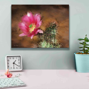 'Vibrant Cactus Flower' by Lori Deiter, Canvas Wall Art,16 x 12