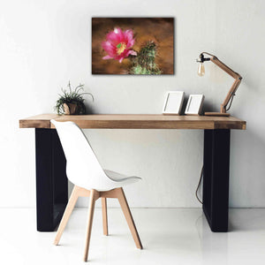 'Vibrant Cactus Flower' by Lori Deiter, Canvas Wall Art,26 x 18