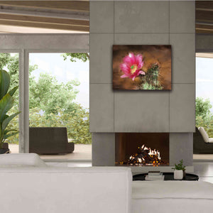 'Vibrant Cactus Flower' by Lori Deiter, Canvas Wall Art,34 x 26