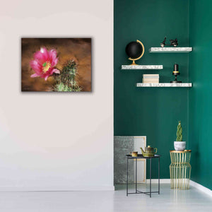 'Vibrant Cactus Flower' by Lori Deiter, Canvas Wall Art,34 x 26