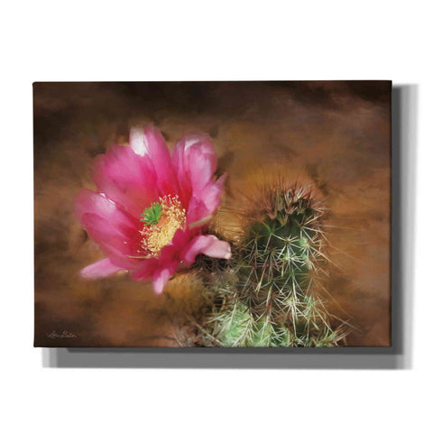 Image of 'Vibrant Cactus Flower' by Lori Deiter, Canvas Wall Art