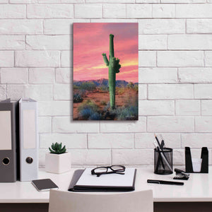 'Vibrant Cactus Sunset' by Lori Deiter, Canvas Wall Art,12 x 18