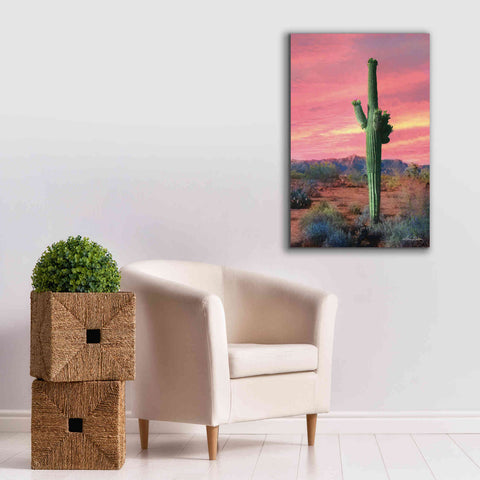 Image of 'Vibrant Cactus Sunset' by Lori Deiter, Canvas Wall Art,26 x 40