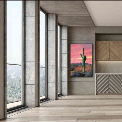 Image of 'Vibrant Cactus Sunset' by Lori Deiter, Canvas Wall Art,40 x 60
