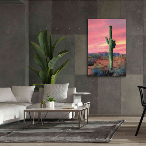 Image of 'Vibrant Cactus Sunset' by Lori Deiter, Canvas Wall Art,40 x 60