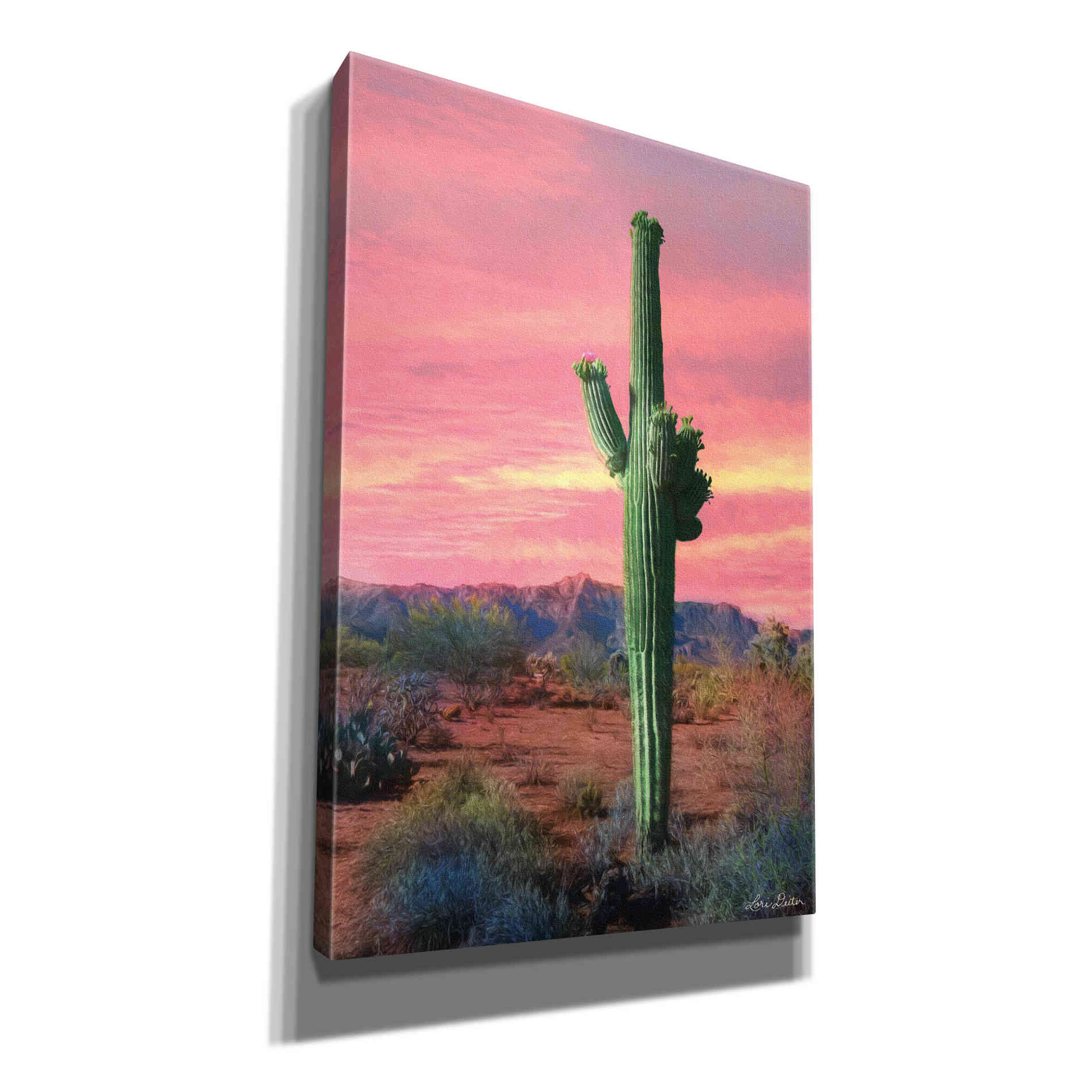 'Vibrant Cactus Sunset' by Lori Deiter, Canvas Wall Art
