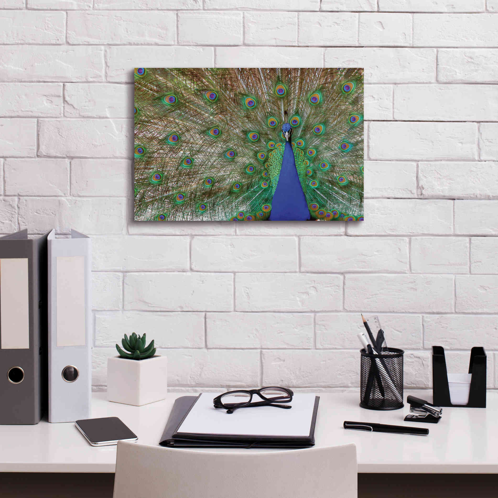 'Peacock' by Lori Deiter, Canvas Wall Art,18 x 12