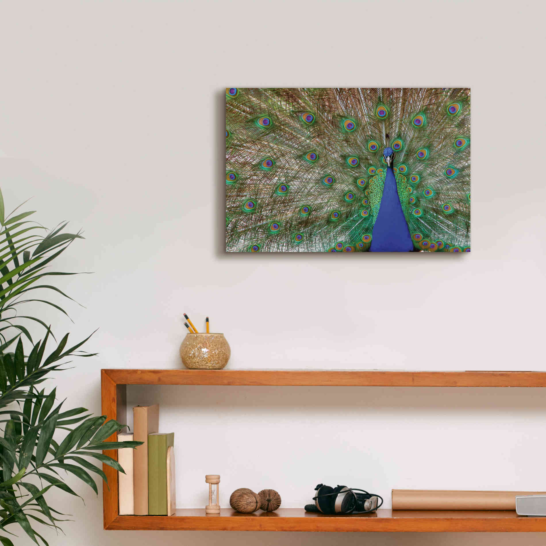 'Peacock' by Lori Deiter, Canvas Wall Art,18 x 12