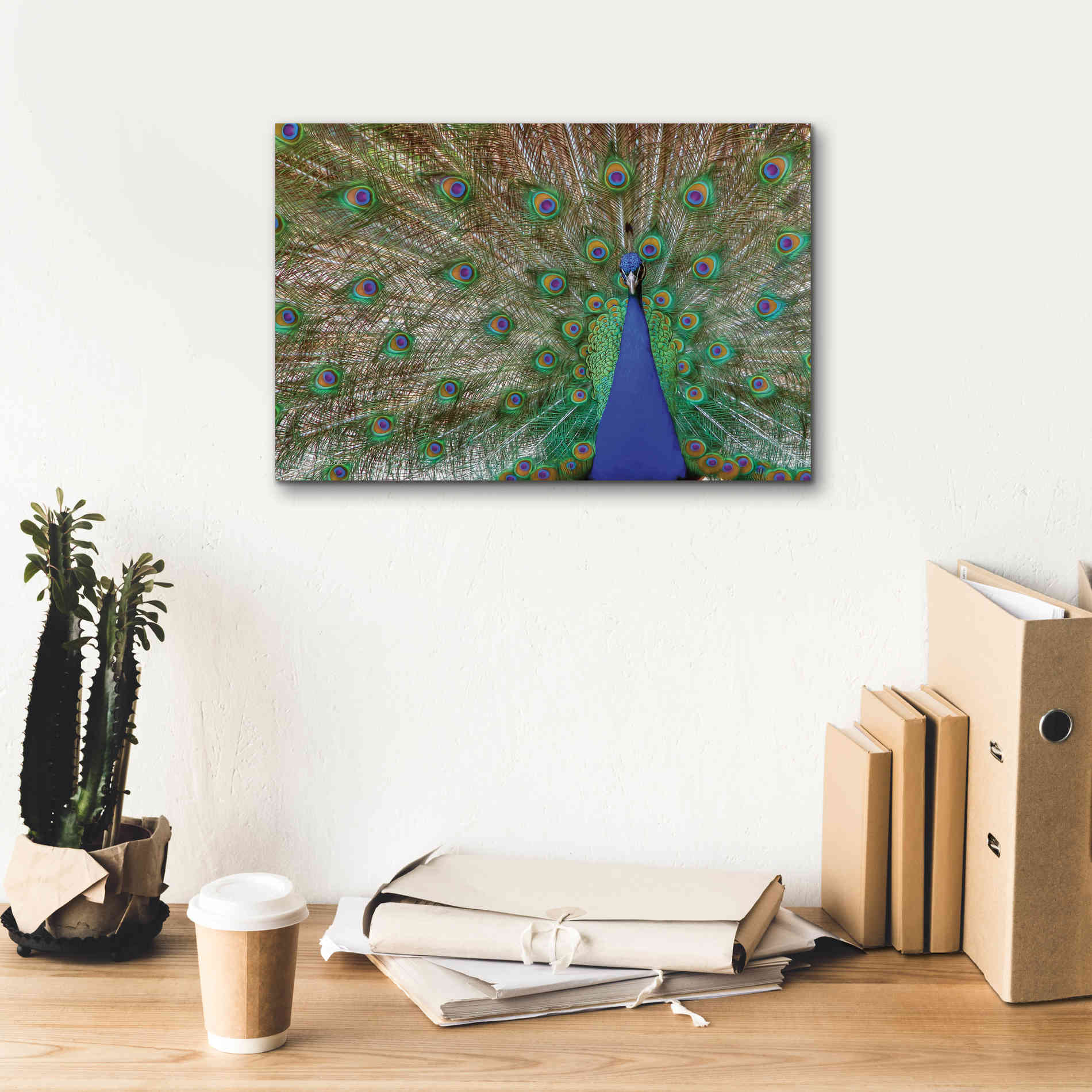 'Peacock' by Lori Deiter, Canvas Wall Art,18 x 12