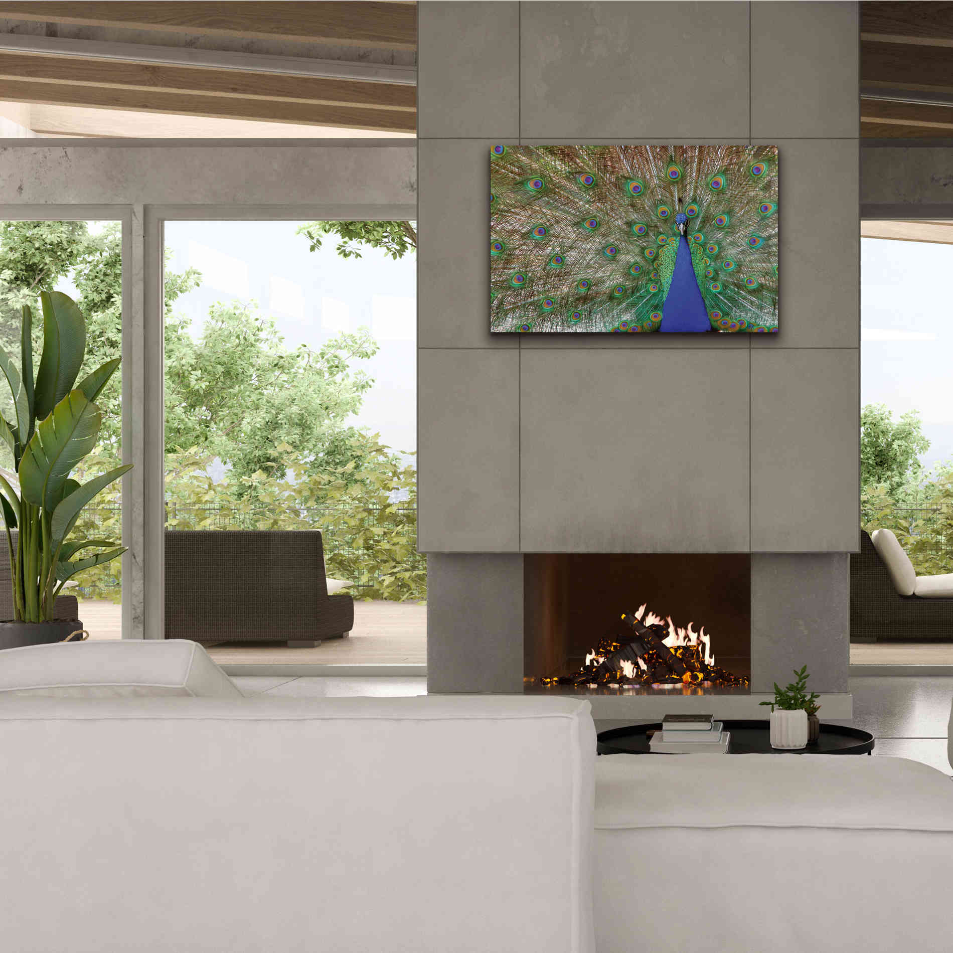 'Peacock' by Lori Deiter, Canvas Wall Art,40 x 26