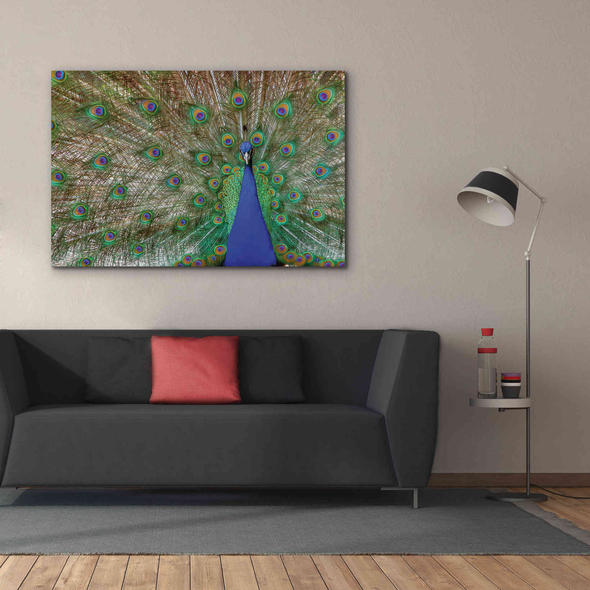 'Peacock' by Lori Deiter, Canvas Wall Art,60 x 40