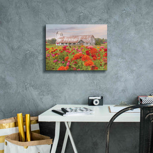 'Vermont Flowers' by Lori Deiter, Canvas Wall Art,16 x 12