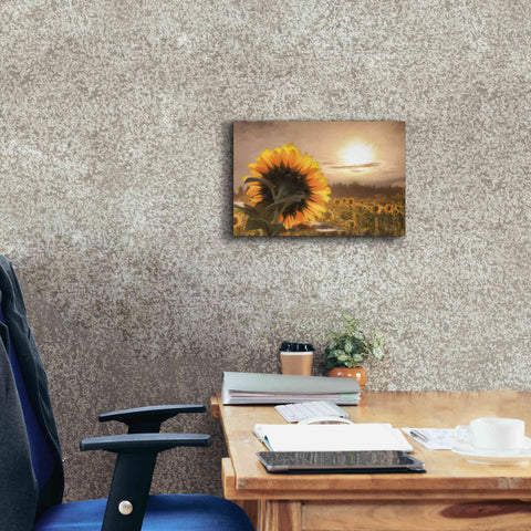 Image of 'Sunlit Sunflower' by Lori Deiter, Canvas Wall Art,18 x 12
