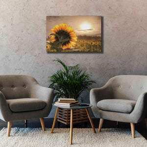 'Sunlit Sunflower' by Lori Deiter, Canvas Wall Art,40 x 26