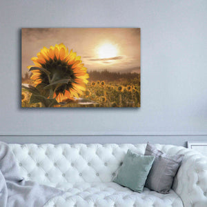 'Sunlit Sunflower' by Lori Deiter, Canvas Wall Art,60 x 40