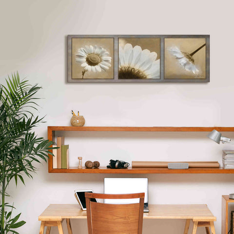 Image of 'Daisy Trio' by Lori Deiter, Canvas Wall Art,36 x 12
