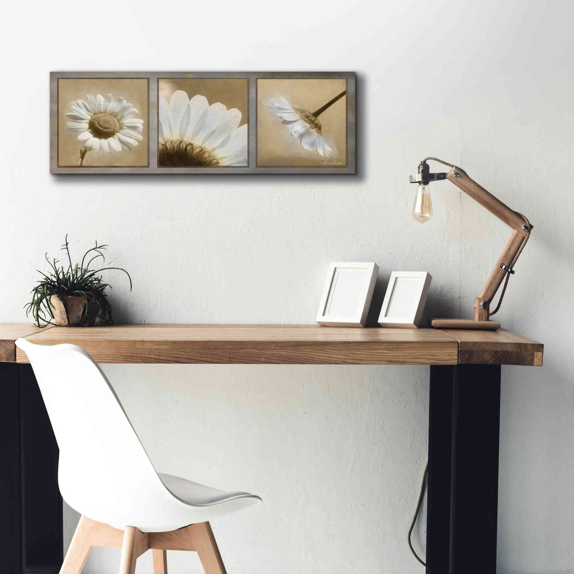 'Daisy Trio' by Lori Deiter, Canvas Wall Art,36 x 12