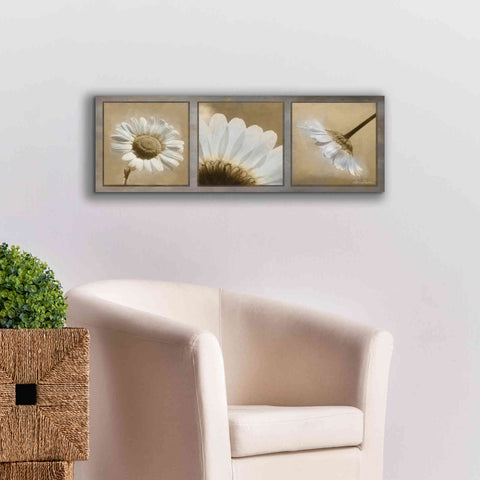 Image of 'Daisy Trio' by Lori Deiter, Canvas Wall Art,60 x 20
