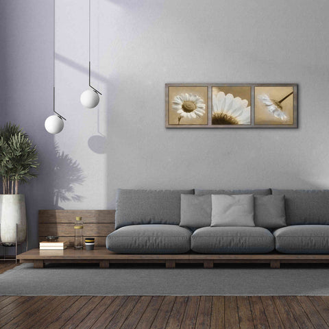 Image of 'Daisy Trio' by Lori Deiter, Canvas Wall Art,60 x 20