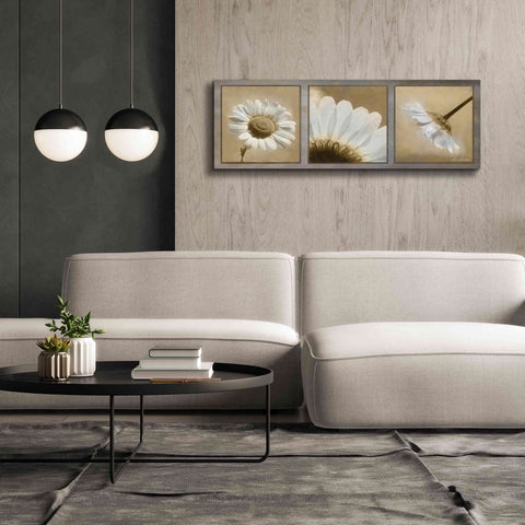 Image of 'Daisy Trio' by Lori Deiter, Canvas Wall Art,60 x 20