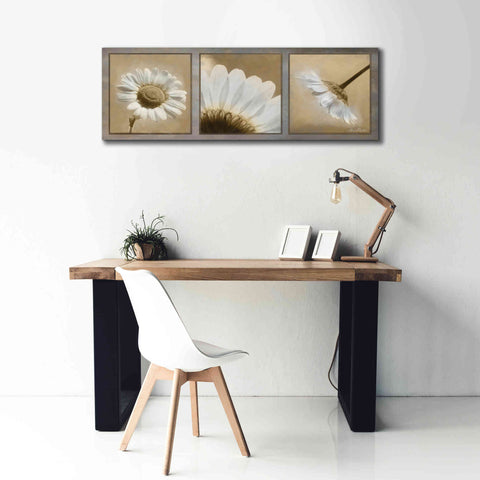 Image of 'Daisy Trio' by Lori Deiter, Canvas Wall Art,60 x 20