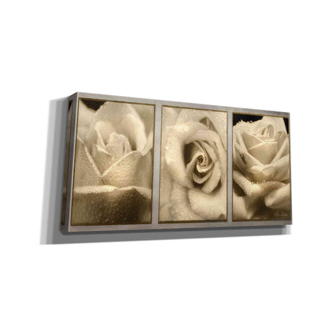 Image of 'Rose Trio' by Lori Deiter, Canvas Wall Art