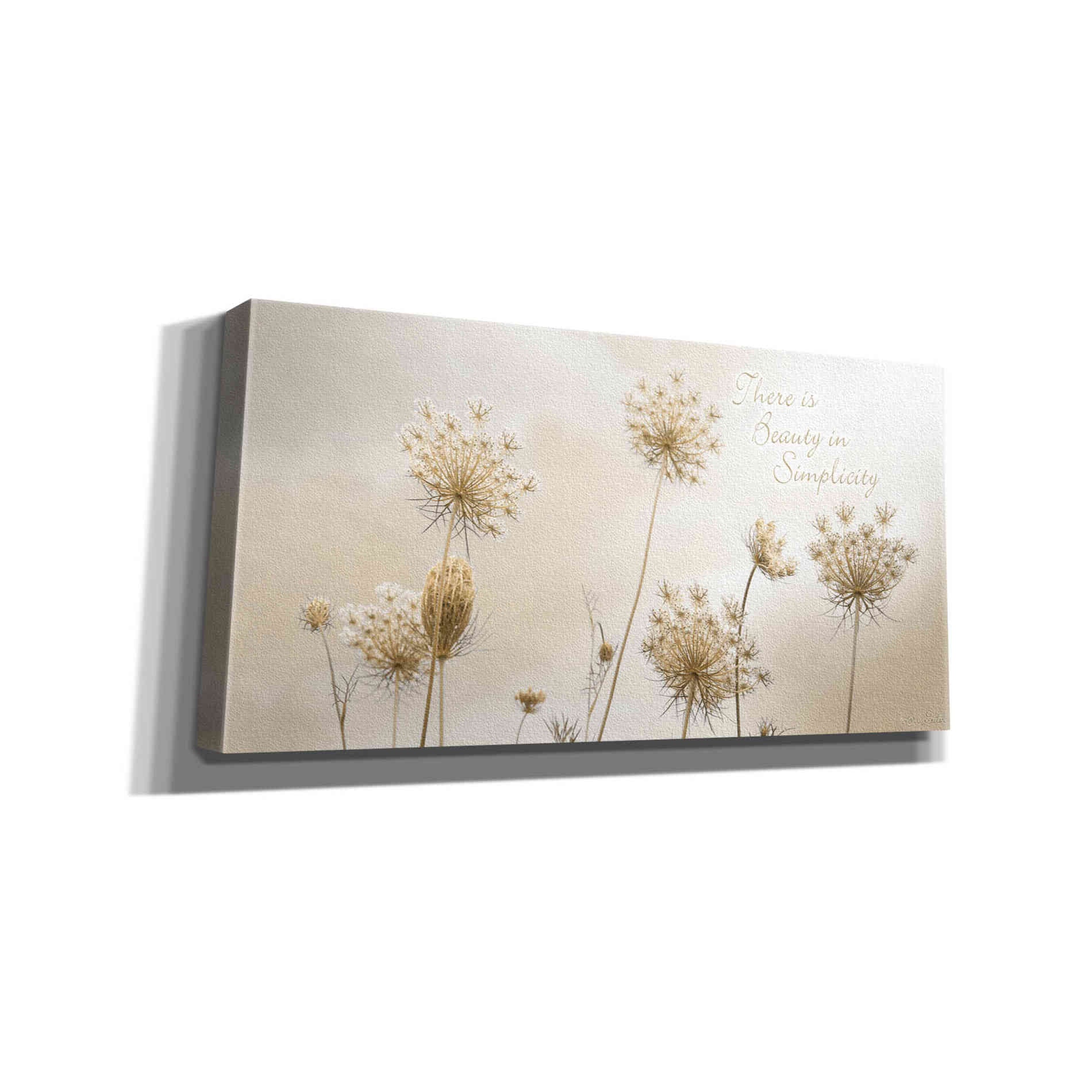 'There is Beauty in Simplicity' by Lori Deiter, Canvas Wall Art