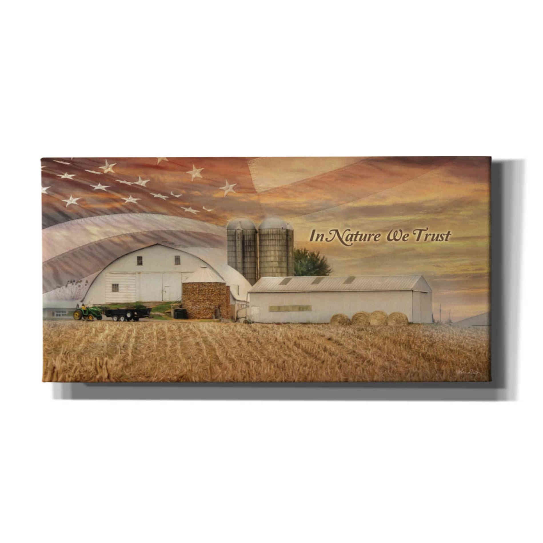 'In Nature We Trust' by Lori Deiter, Canvas Wall Art