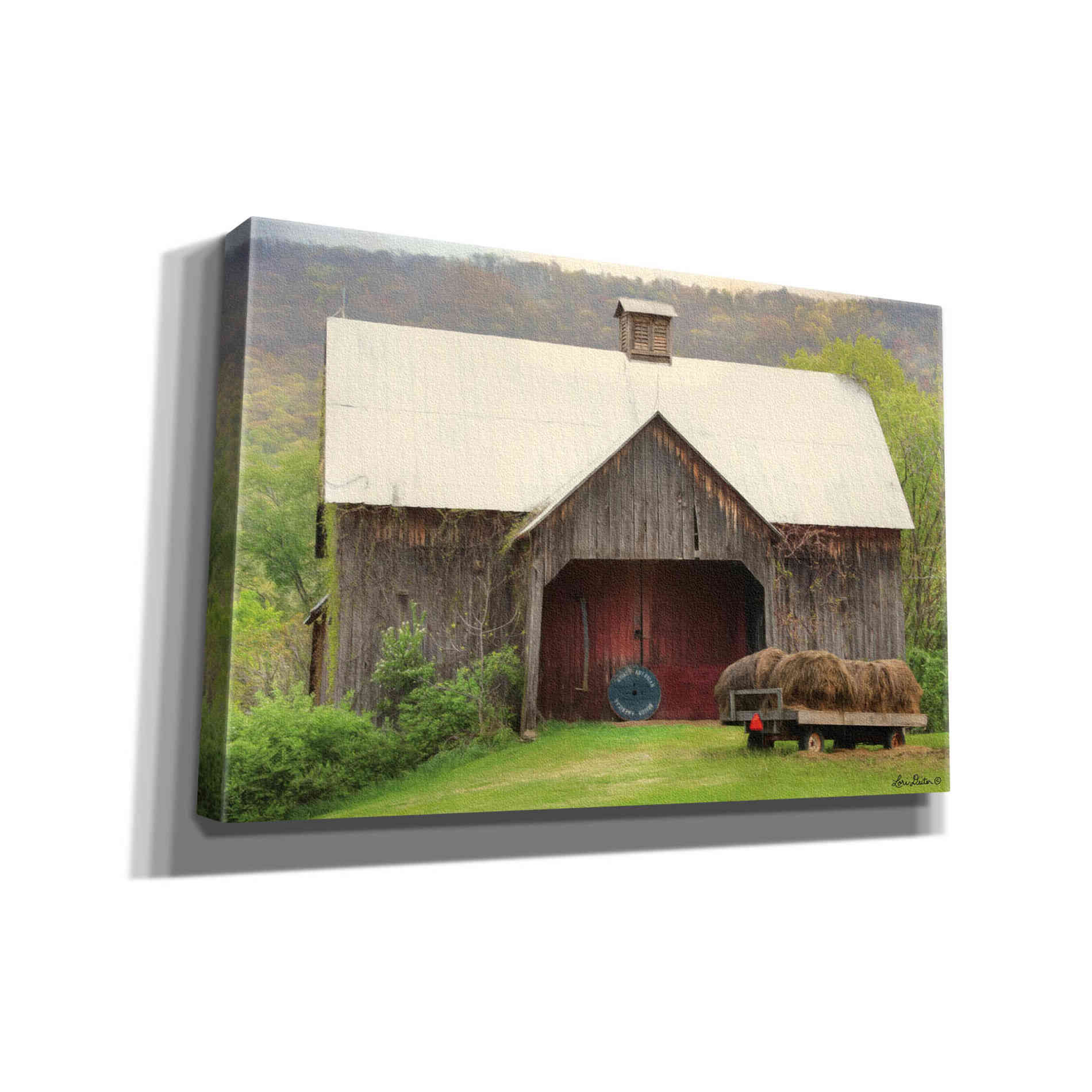 'Old Hay' by Lori Deiter, Canvas Wall Art