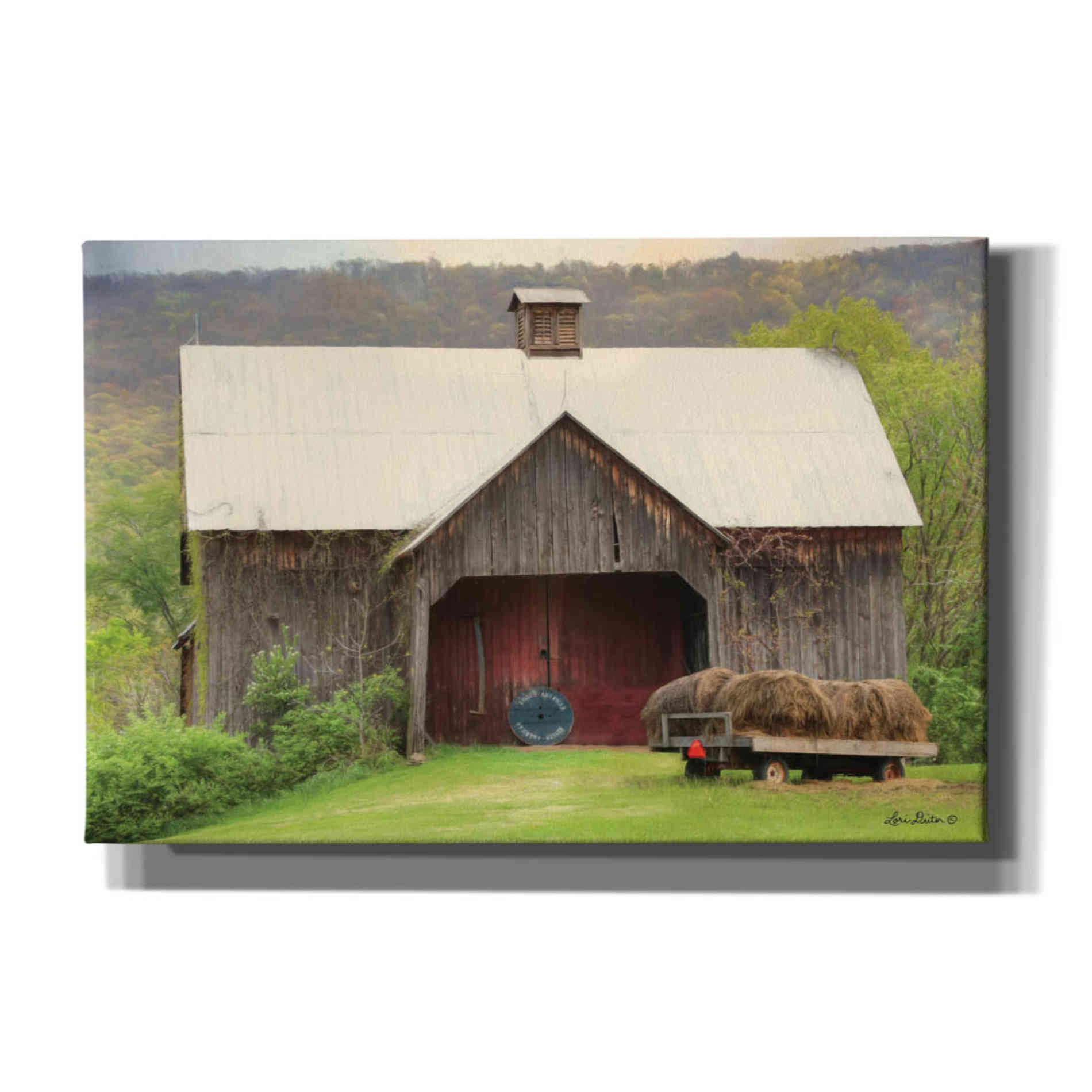 'Old Hay' by Lori Deiter, Canvas Wall Art
