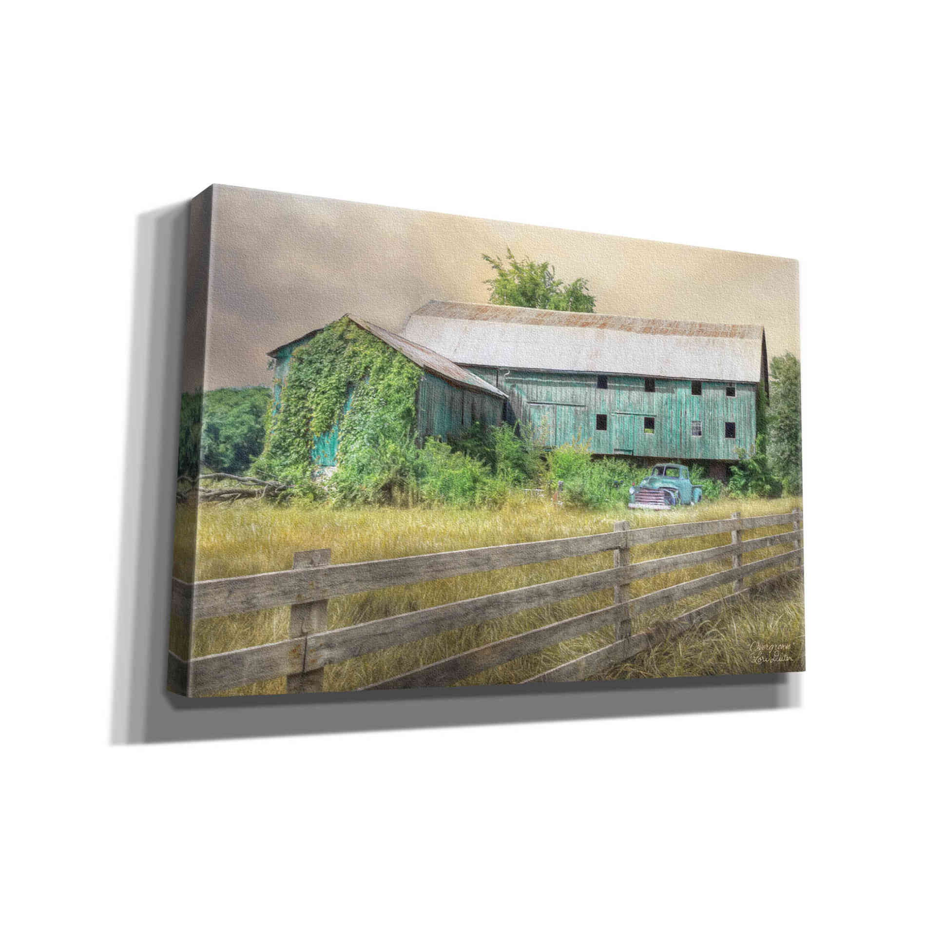 'Overgrown' by Lori Deiter, Canvas Wall Art