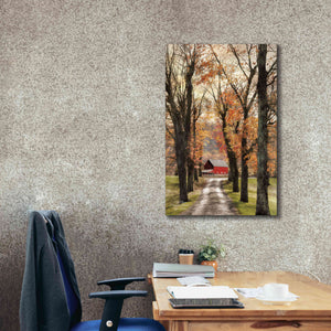 'On Those Country Roads' by Lori Deiter, Canvas Wall Art,26 x 40